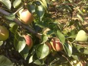 ������������l(f��)��Ϧ�(y��ng)�t��a(ch��n)�����l(f��)�r(ji��)��