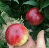 �������5�����r������12���������l�r��