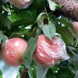 ���ë�ң���Խë�������u�����r��