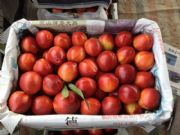 �������5���ң�����12�������Ѓr��