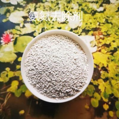 �YӍ-��������ȥ�����r��/����ȥ���������S�Қgӭ��ԃ