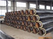 ���_219���S�A�˾۰����l�ݱ��ع܈�r