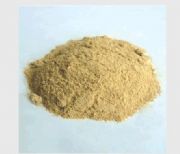 BM�{��ѿ�ߗU��