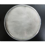 ��������BMëù���N