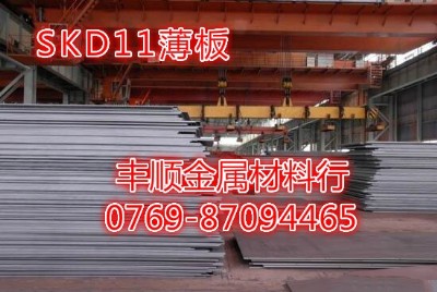 skd11�����ñ���