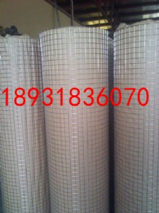 ���P�늺��W�DƬ%�����в��P�늺��W%�˜ʲ��P�늺��W