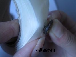 ���������N-�M�ڹ���-�]������