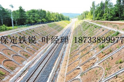 ���B�o�£��F·�A�Ƙ����������F�J�S��