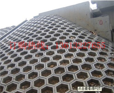 �����ڱ��� ������������ģ�� �S