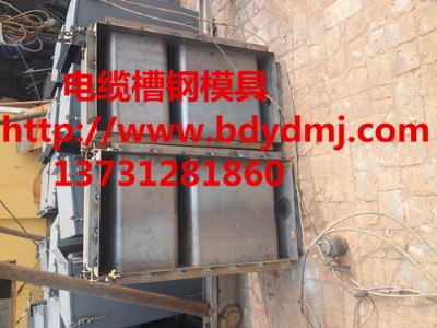 ������|���w��ģ��  ���_ˮ����|�w��ģ�߼ӹ��S