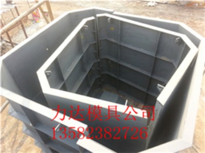 ���� ���������S���ģ��