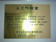 �����F�BD-RSZϵ���˹������(�D)