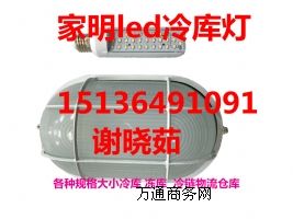 С����LED����������׿���