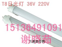 ����LED����