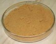 ���y����ȡ��