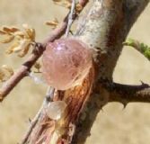 �������z