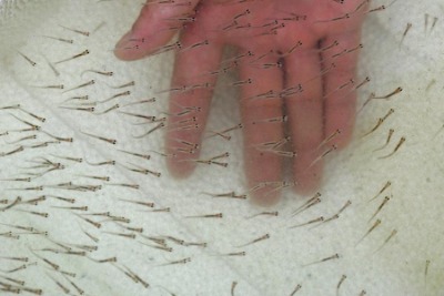 ������������~��3����5���ײ����a�������~�r��