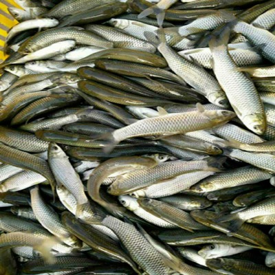 ɽ����ͬ�R�ڕx�и������~�~�����