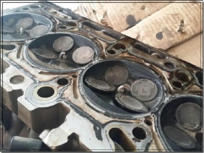 �W��a6���C�͌��I�S��