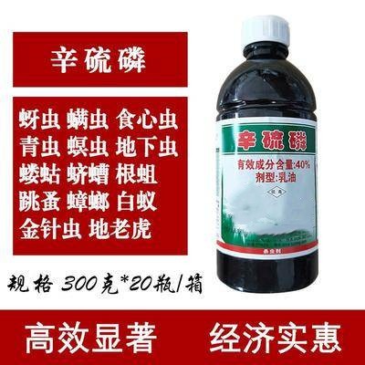 �����ך��x�����a�S��