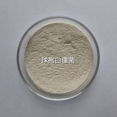 �׽��������߰׽��������a(ch��n)�S��