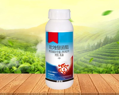 25�������Ѿ����Ҹ������������a�S��