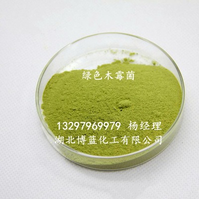 �Gɫľù�����������a�S��