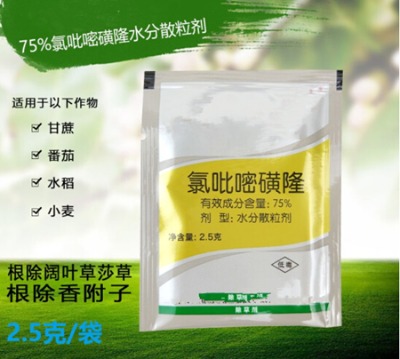 75�������׻�¡ˮ��ɢ�������݄����a�S��