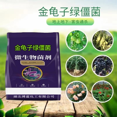 �����ӾG�������x�����a�S�҃r��