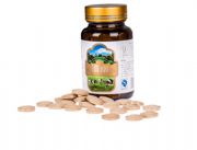 ���T�ݗU������ͨ��Ⱥ�еĸ�Ⱦ�����Ʋ���(d��ng)څ��(sh��)