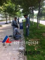 �T�߲��P�����܇�� �T�߲��P�����܇��