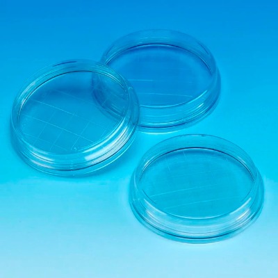 ertaree������һ���Խ��|��