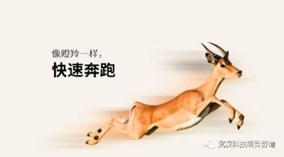 ������I���J���l�������߃���