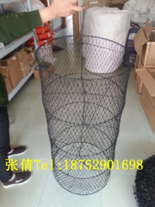 ���ðו���̖�� �W����̖��  ������̖�����l