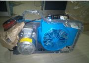 ���Abauer junior ii-e����