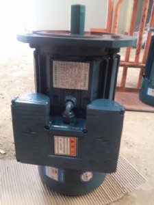 ȫ��yl100l-4�����pֵ��ݮ���늄әC