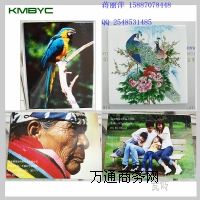 ����BYC168-2.3�Lɳ���ւ���ӡ�ƙC �f�ܴ�ӡ�C