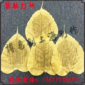 �x����ˇƷ��ӡ�C �~�}ӡ���C �f�ܴ�ӡ�C