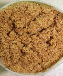 ɽ�|�I�ݏS�ҹ������c����l�����