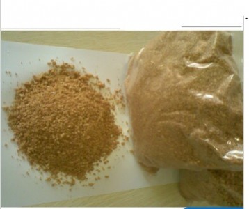 ɽ�|�I�ݏS�ҹ����������l�����