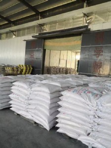 ɽ�|�I�ݏS�ҹ����������