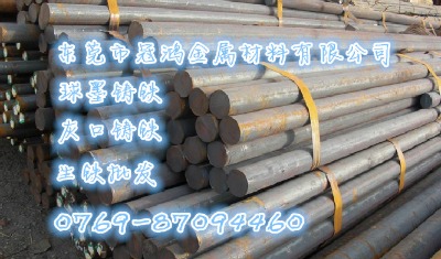 �M��fcd450�ߏ�����ī�T�F�A�� �r�񃞻�