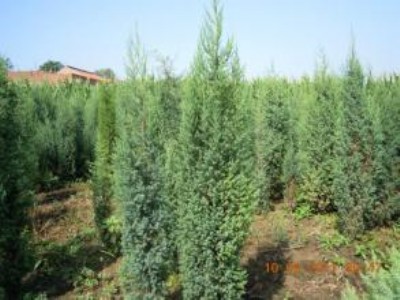 ��~1-3����~ɽ����~�r��