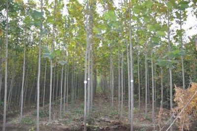 ��3���ְ�Ϟ�r��4���ְ�Ϟ�r��5���ְ�Ϟ