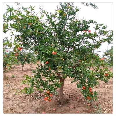 3����ʯ���r��5����ʯ���8����ʯ���10����ʯ���