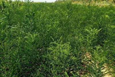 ��(gu��)����r(ji��)��1������(gu��)����2������(gu��)����r(ji��)���(gu��)����