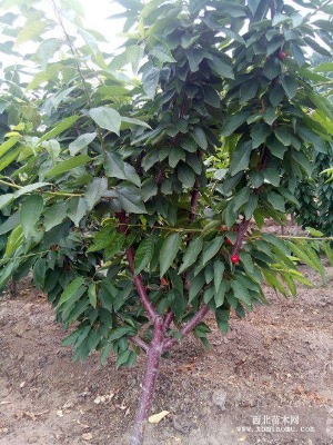 3���֙��Ҙ�r��5���֙��Ҙ�8���֙��Ҙ�10���֙��Ҙ�