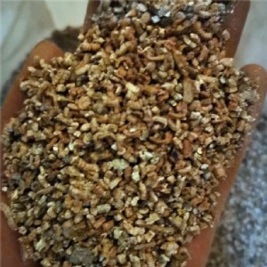 ��ʯ �w�������� �@ˇ�� ��ֹ������Y(ji��) ���籣��