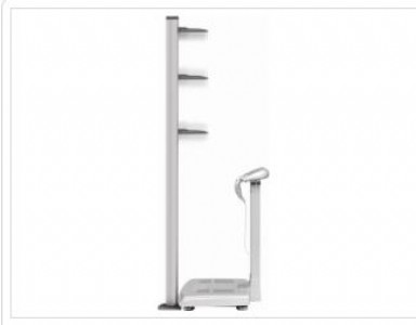 �����n���������w�ɷַ����x