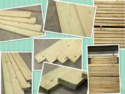 ������ľ��